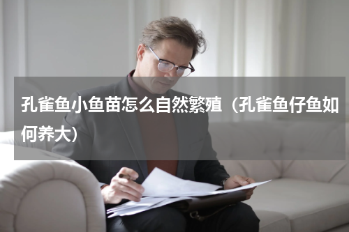 孔雀鱼小鱼苗怎么自然繁殖（孔雀鱼仔鱼如何养大）