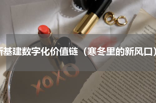 新基建数字化价值链（寒冬里的新风口）