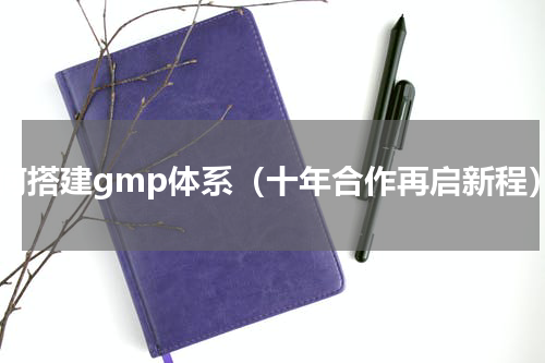 如何搭建gmp体系（十年合作再启新程）