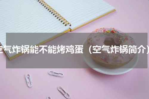 空气炸锅能不能烤鸡蛋（空气炸锅简介）