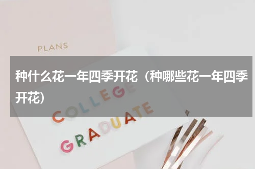 种什么花一年四季开花（种哪些花一年四季开花）