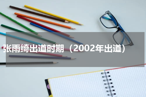 张雨绮出道时期（2002年出道）