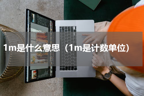 1m是什么意思（1m是计数单位）