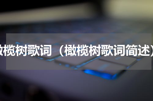 橄榄树歌词（橄榄树歌词简述）