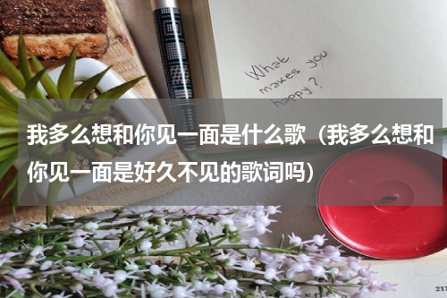 我多么想和你见一面是什么歌（我多么想和你见一面是好久不见的歌词吗）