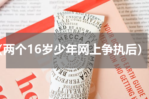 （两个16岁少年网上争执后）