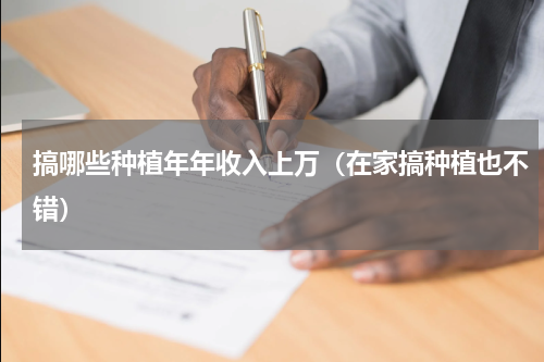 搞哪些种植年年收入上万（在家搞种植也不错）