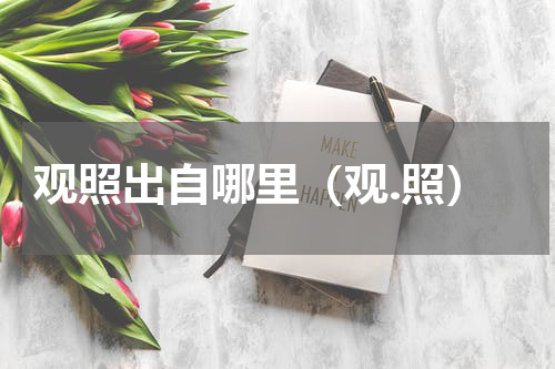 观照出自哪里（观.照）