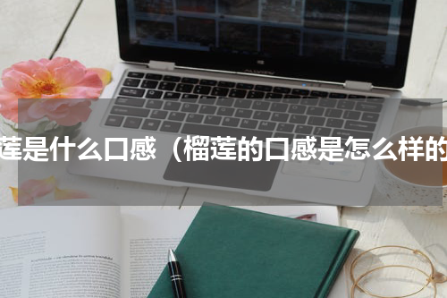 榴莲是什么口感（榴莲的口感是怎么样的）