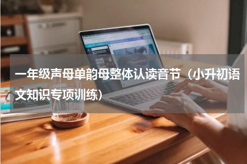 一年级声母单韵母整体认读音节（小升初语文知识专项训练）