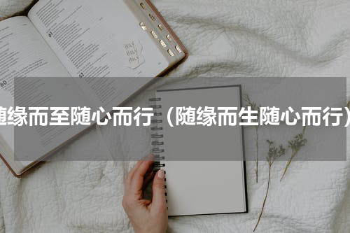 随缘而至随心而行（随缘而生随心而行）