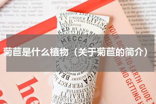 菊苣是什么植物（关于菊苣的简介）