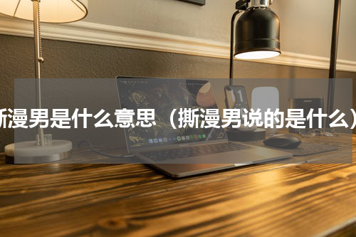 撕漫男是什么意思（撕漫男说的是什么）