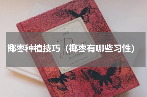 椰枣种植技巧（椰枣有哪些习性）