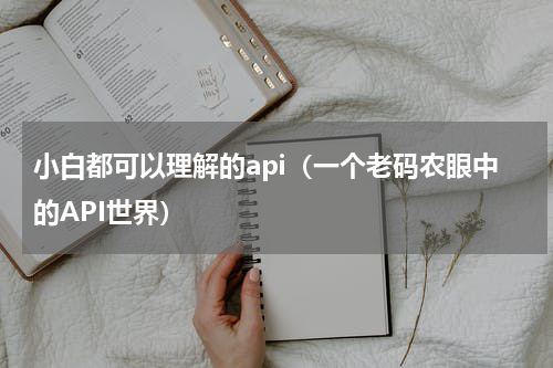 小白都可以理解的api（一个老码农眼中的API世界）