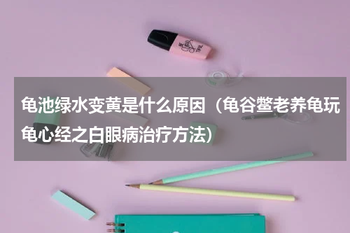 龟池绿水变黄是什么原因（龟谷鳖老养龟玩龟心经之白眼病治疗方法）