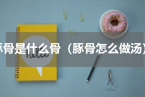 豚骨是什么骨（豚骨怎么做汤）