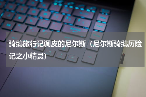 骑鹅旅行记调皮的尼尔斯（尼尔斯骑鹅历险记之小精灵）