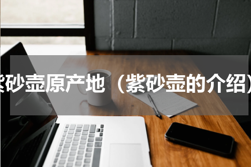 紫砂壶原产地（紫砂壶的介绍）