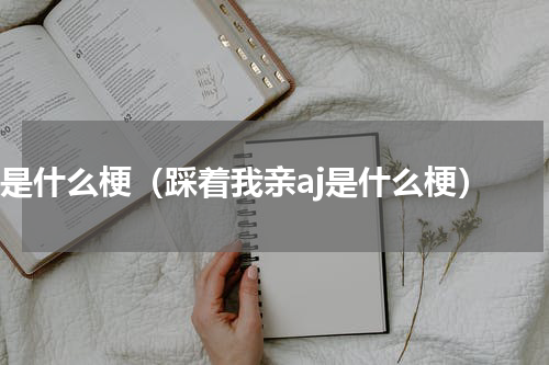 aj 是什么梗（踩着我亲aj是什么梗）