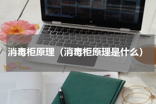 消毒柜原理（消毒柜原理是什么）