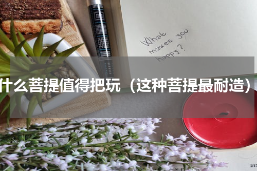 什么菩提值得把玩（这种菩提最耐造）