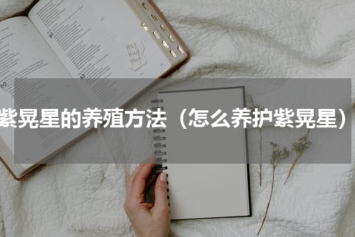 紫晃星的养殖方法（怎么养护紫晃星）