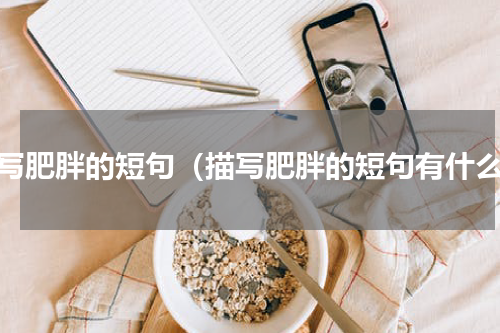 描写肥胖的短句（描写肥胖的短句有什么）