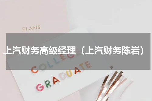 上汽财务高级经理（上汽财务陈岩）