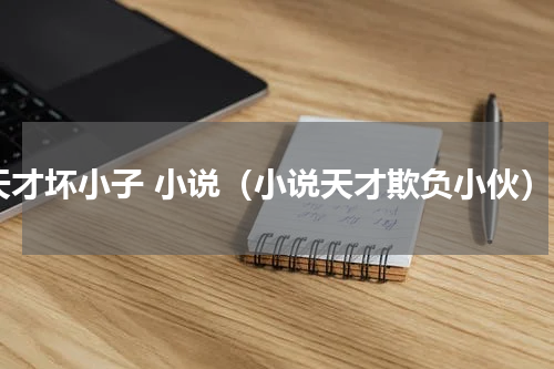 天才坏小子 小说（小说天才欺负小伙）