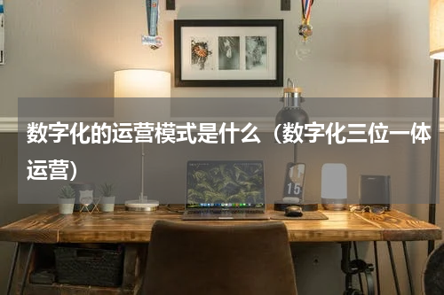 数字化的运营模式是什么（数字化三位一体运营）