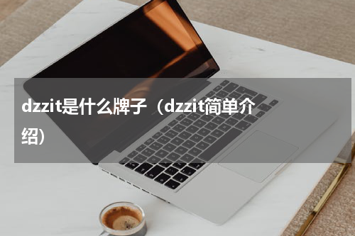 dzzit是什么牌子（dzzit简单介绍）