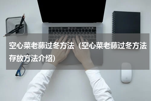 空心菜老藤过冬方法（空心菜老藤过冬方法存放方法介绍）