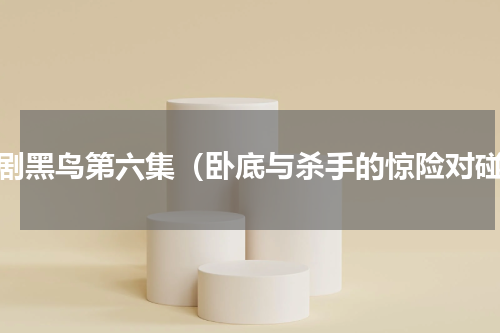美剧黑鸟第六集（卧底与杀手的惊险对碰）