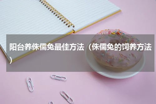 阳台养侏儒兔最佳方法（侏儒兔的饲养方法）