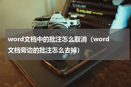word文档中的批注怎么取消（word文档旁边的批注怎么去掉）