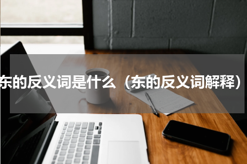 东的反义词是什么（东的反义词解释）