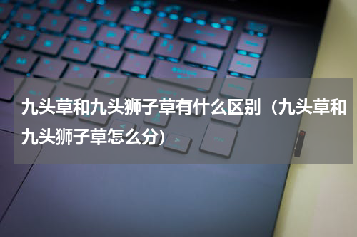九头草和九头狮子草有什么区别（九头草和九头狮子草怎么分）