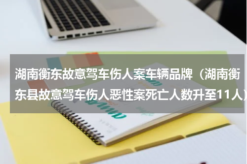 湖南衡东故意驾车伤人案车辆品牌（湖南衡东县故意驾车伤人恶性案死亡人数升至11人）