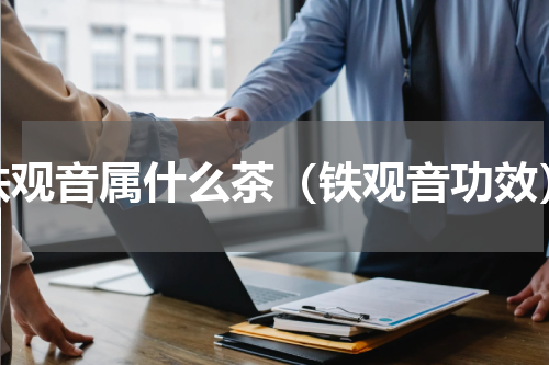 铁观音属什么茶（铁观音功效）