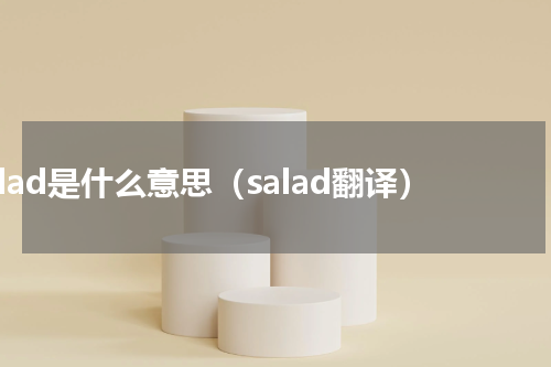 salad是什么意思（salad翻译）