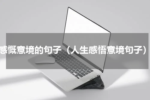 感慨意境的句子（人生感悟意境句子）