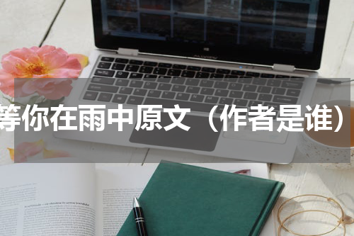 等你在雨中原文（作者是谁）