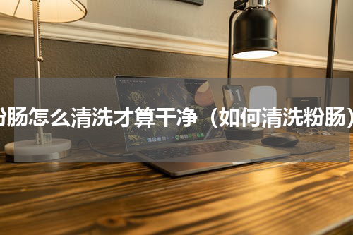 粉肠怎么清洗才算干净（如何清洗粉肠）