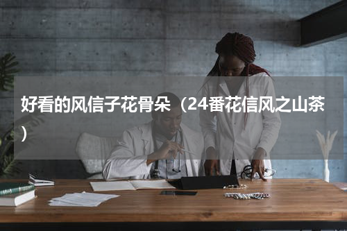 好看的风信子花骨朵（24番花信风之山茶）