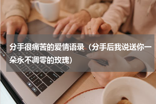 分手很痛苦的爱情语录（分手后我说送你一朵永不凋零的玫瑰）
