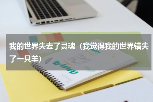 我的世界失去了灵魂（我觉得我的世界错失了一只羊）