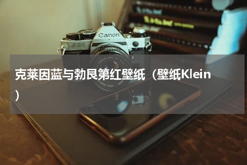克莱因蓝与勃艮第红壁纸（壁纸Klein）