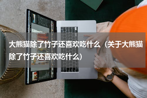 大熊猫除了竹子还喜欢吃什么（关于大熊猫除了竹子还喜欢吃什么）