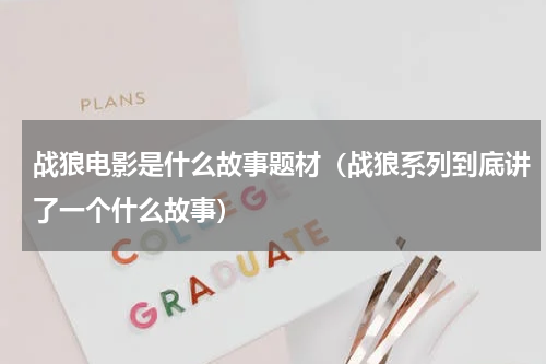 战狼电影是什么故事题材（战狼系列到底讲了一个什么故事）